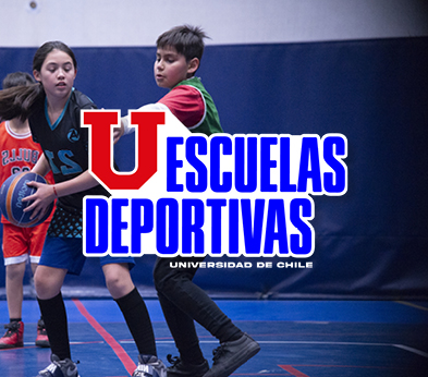 selección taller