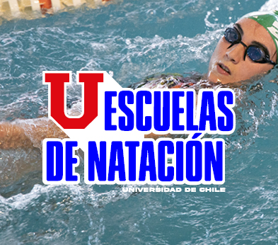 selección taller