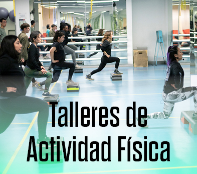 selección taller